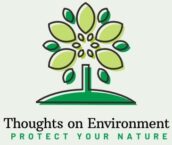 Thoughts on Environment